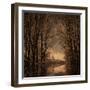 Winter Memory 2-Philippe Sainte-Laudy-Framed Photographic Print