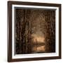 Winter Memory 2-Philippe Sainte-Laudy-Framed Photographic Print