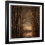 Winter Memory 2-Philippe Sainte-Laudy-Framed Photographic Print