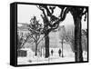 Winter, Mirabellgarten, Salzburg, Austria-Walter Bibikow-Framed Stretched Canvas