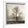 Winter Mist-Michael Kahn-Framed Giclee Print
