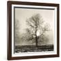 Winter Mist-Michael Kahn-Framed Giclee Print