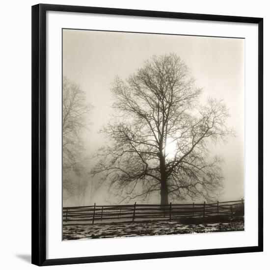 Winter Mist-Michael Kahn-Framed Giclee Print