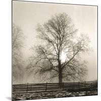 Winter Mist-Michael Kahn-Mounted Giclee Print