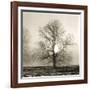 Winter Mist-Michael Kahn-Framed Giclee Print