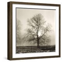 Winter Mist-Michael Kahn-Framed Giclee Print