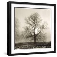 Winter Mist-Michael Kahn-Framed Giclee Print