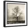 Winter Mist-Michael Kahn-Framed Giclee Print