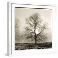 Winter Mist-Michael Kahn-Framed Giclee Print