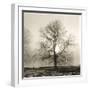 Winter Mist-Michael Kahn-Framed Giclee Print