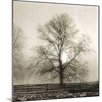 Winter Mist-Michael Kahn-Mounted Giclee Print