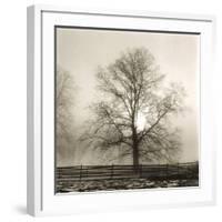 Winter Mist-Michael Kahn-Framed Giclee Print