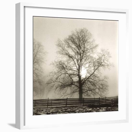 Winter Mist-Michael Kahn-Framed Giclee Print