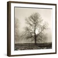 Winter Mist-Michael Kahn-Framed Giclee Print