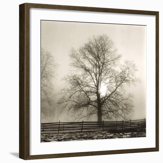 Winter Mist-Michael Kahn-Framed Giclee Print