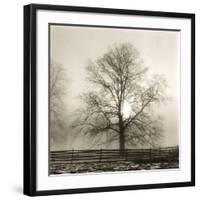 Winter Mist-Michael Kahn-Framed Giclee Print