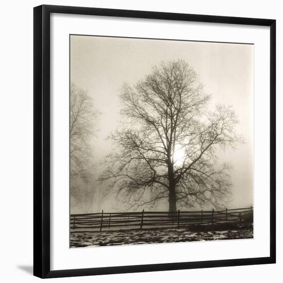 Winter Mist-Michael Kahn-Framed Giclee Print