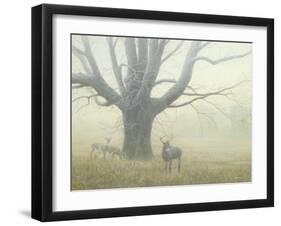 Winter Mist-Michael Budden-Framed Giclee Print