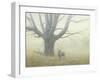 Winter Mist-Michael Budden-Framed Giclee Print