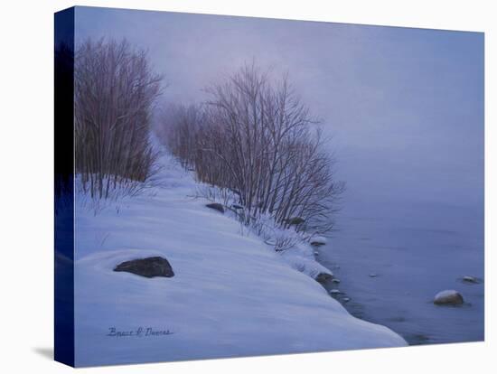 Winter Mist-Bruce Dumas-Stretched Canvas