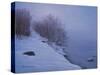 Winter Mist-Bruce Dumas-Stretched Canvas