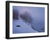 Winter Mist-Bruce Dumas-Framed Giclee Print