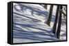 Winter Mood in the Wood-Armin Mathis-Framed Stretched Canvas