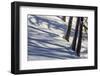 Winter Mood in the Wood-Armin Mathis-Framed Photographic Print