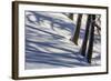 Winter Mood in the Wood-Armin Mathis-Framed Photographic Print