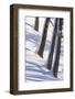 Winter Mood in the Wood-Armin Mathis-Framed Photographic Print