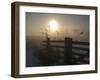 Winter Mood-Alida Van Zaane-Framed Photographic Print