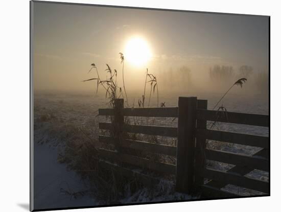 Winter Mood-Alida Van Zaane-Mounted Photographic Print