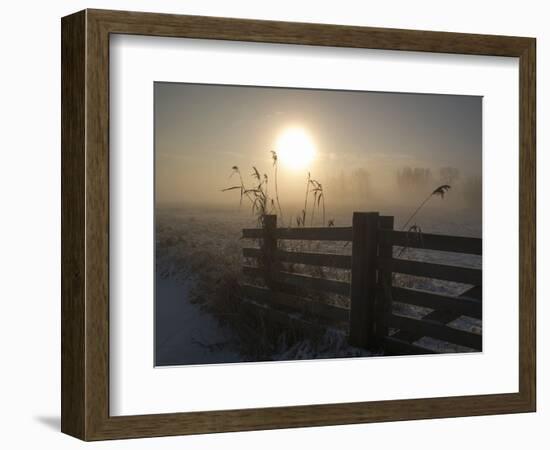 Winter Mood-Alida Van Zaane-Framed Photographic Print