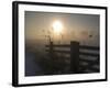 Winter Mood-Alida Van Zaane-Framed Photographic Print