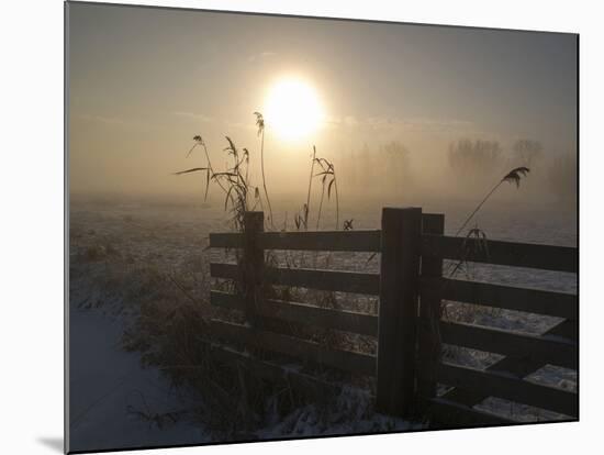 Winter Mood-Alida Van Zaane-Mounted Photographic Print