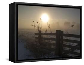 Winter Mood-Alida Van Zaane-Framed Stretched Canvas