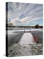 Winter Morning at Mallard Lake at the Lower Moor Farm Nature Reserve-David Hall-Stretched Canvas