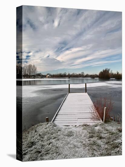 Winter Morning at Mallard Lake at the Lower Moor Farm Nature Reserve-David Hall-Stretched Canvas