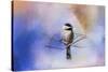 Winter Morning Chickadee-Jai Johnson-Stretched Canvas