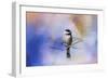 Winter Morning Chickadee-Jai Johnson-Framed Giclee Print