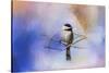 Winter Morning Chickadee-Jai Johnson-Stretched Canvas