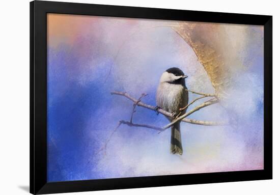 Winter Morning Chickadee-Jai Johnson-Framed Premium Giclee Print