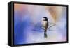 Winter Morning Chickadee-Jai Johnson-Framed Stretched Canvas