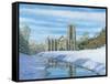 Winter Morning - Fountains Abbey Yorkshire-Richard Harpum-Framed Stretched Canvas