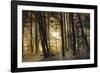 winter morning-Norbert Maier-Framed Photographic Print