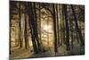 winter morning-Norbert Maier-Mounted Photographic Print