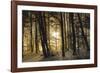 winter morning-Norbert Maier-Framed Photographic Print