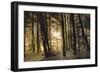 winter morning-Norbert Maier-Framed Photographic Print