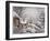 Winter Morning-Currier & Ives-Framed Giclee Print