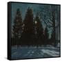 Winter Night, 1931-Stanislav Yulianovich Zhukovsky-Framed Stretched Canvas